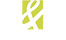 D&D Logo